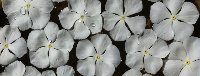 Mandala fleurs